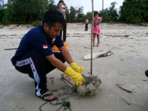 IMG-20170116-WA0174
