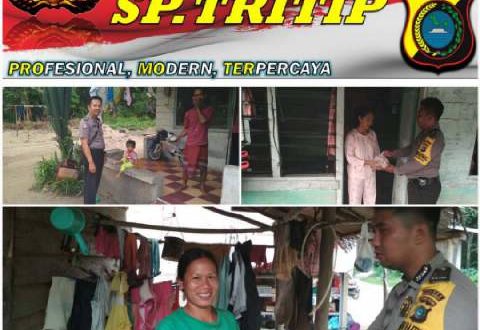 sek trtp