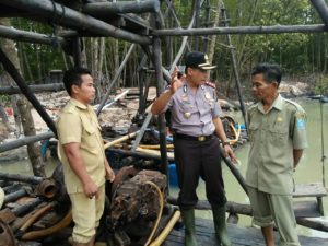 IMG-20170829-WA0095