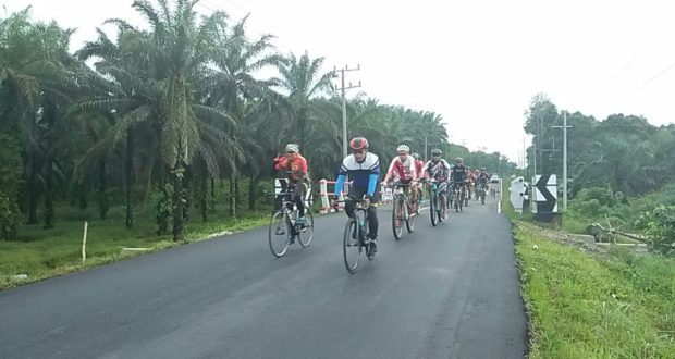 gowes (1)