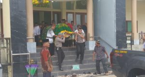 kelapa2