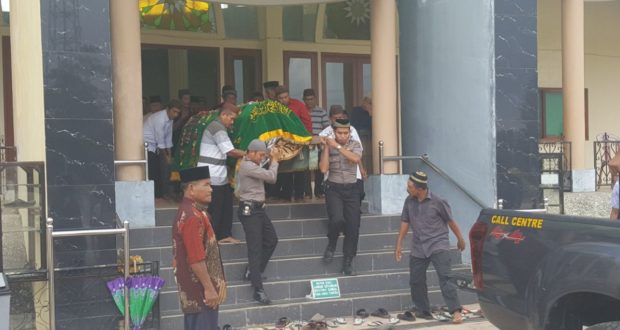 kelapa2