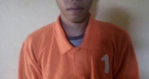 royok2
