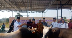 WhatsApp Image 2018-08-23 at 08.09.58(2)