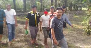 WhatsApp Image 2019-03-25 at 11.34.56