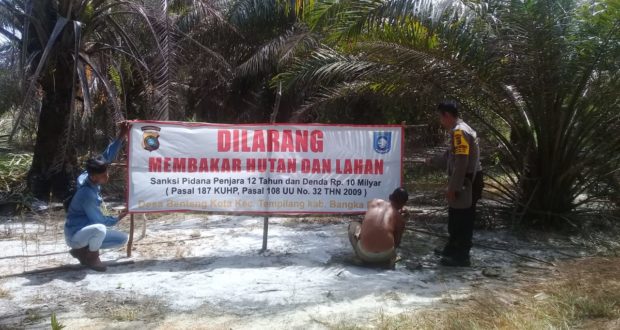 IMG-20190722-WA0013