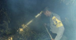 IMG-20190823-WA0039