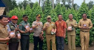 IMG-20191203-WA0001