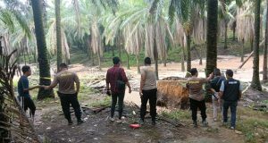 IMG-20240510-WA0047