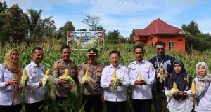 IMG-20250226-WA0007