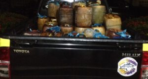 IMG-20171005-WA0005