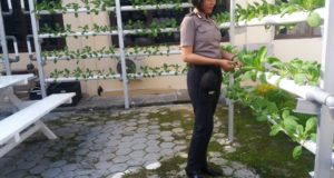 IMG-20171109-WA0055