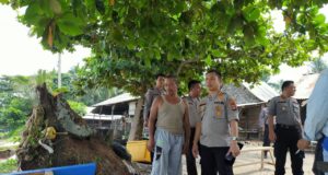 IMG-20191110-WA0015