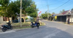 IMG-20241110-WA0052